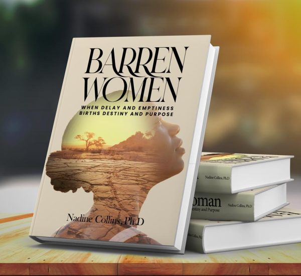 Barren-mockup3_2