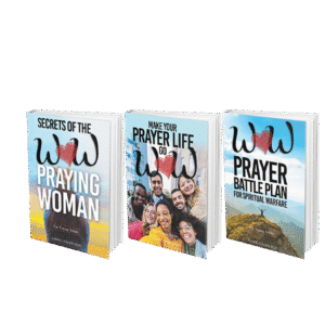 Complete 3-Series Bundle